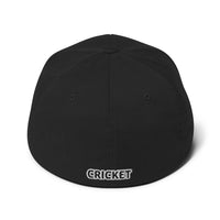 Punjab Cricket FlexFit Hat