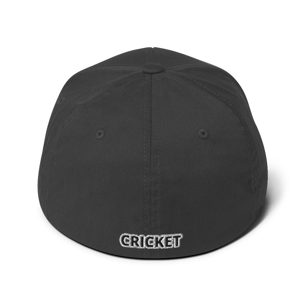 Punjab Cricket FlexFit Hat