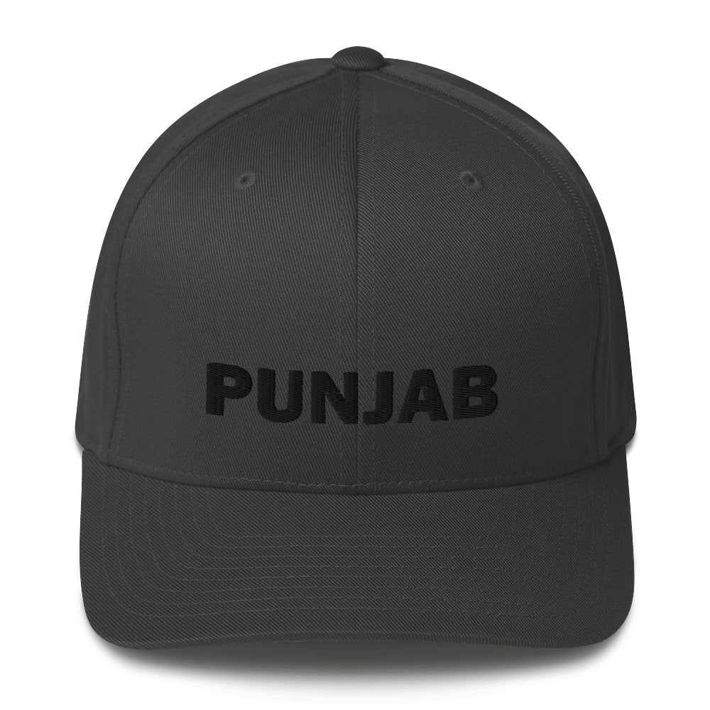 Punjab Cricket FlexFit Hat