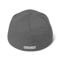 Punjab Cricket FlexFit Hat