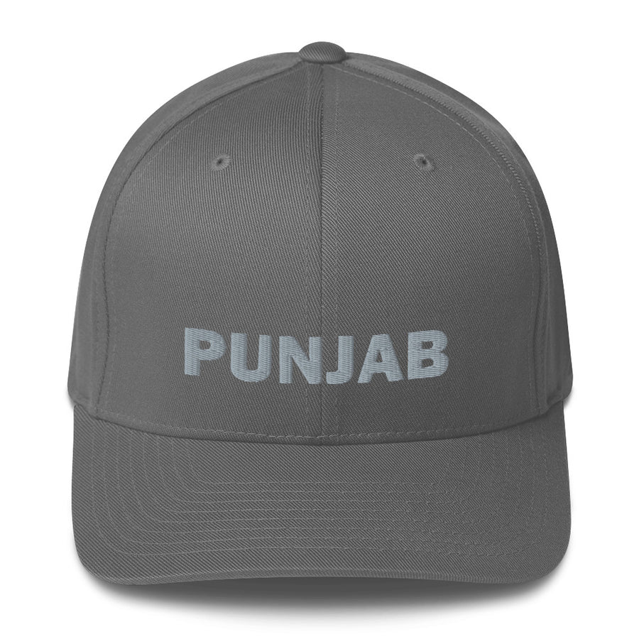 Punjab Cricket FlexFit Hat