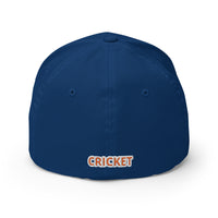 India Cricket FlexFit Hat