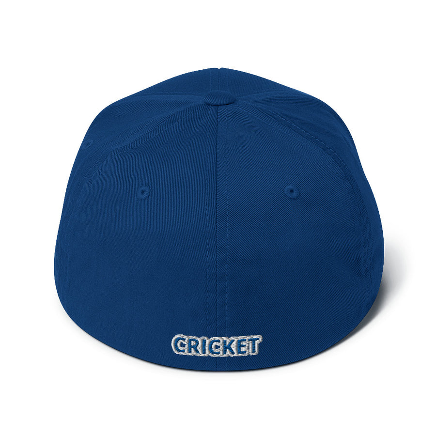 Punjab Cricket FlexFit Hat