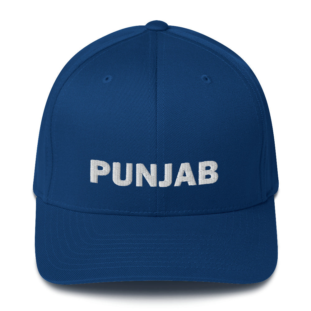 Punjab Cricket FlexFit Hat