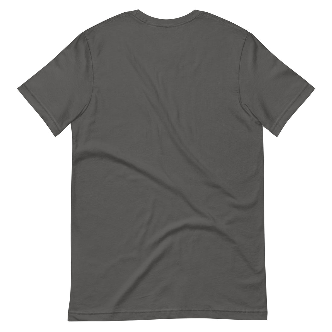 Back view of a plain asphalt gray t-shirt, showcased against a neutral background, emphasizing its classic style.