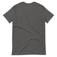 Back view of a plain asphalt gray t-shirt, showcased against a neutral background, emphasizing its classic style.